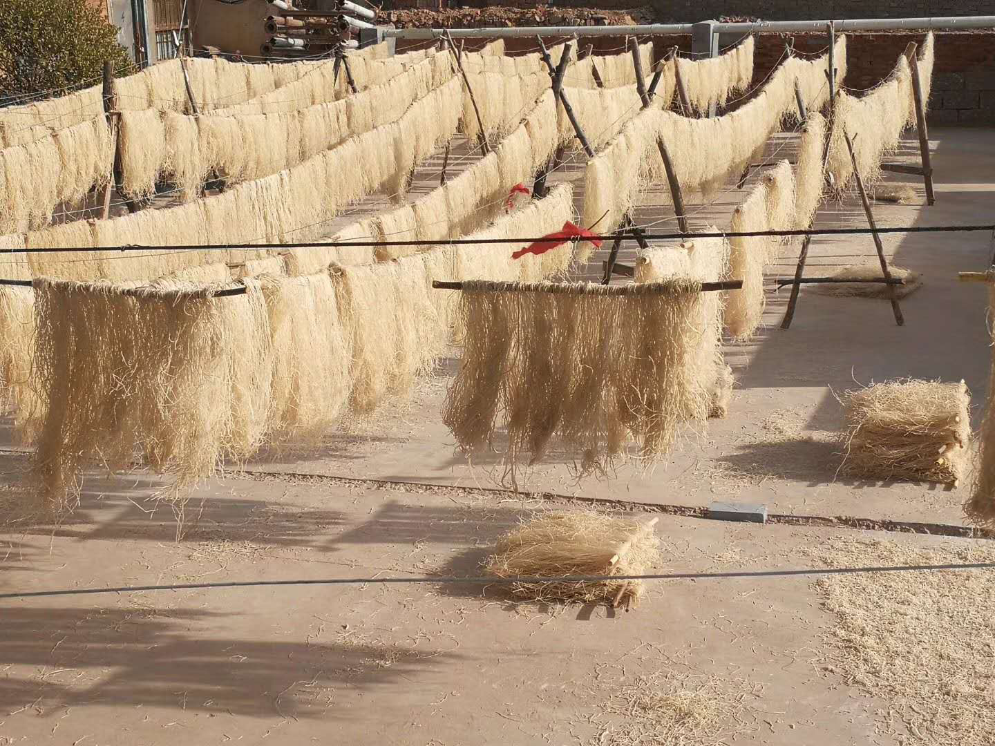 紅薯粉加工現(xiàn)場(chǎng)